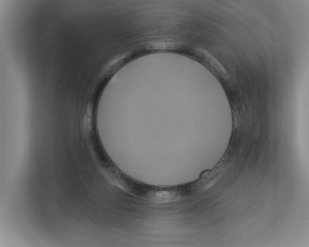 X0000112460163200909141105