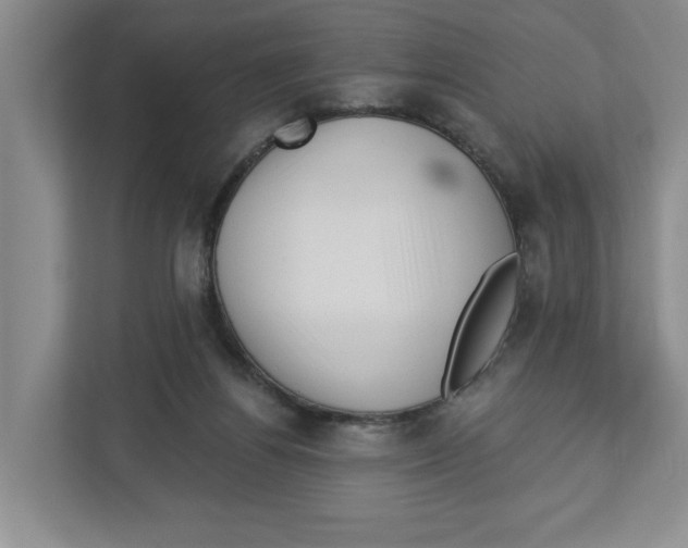 X0000112460164200909141105