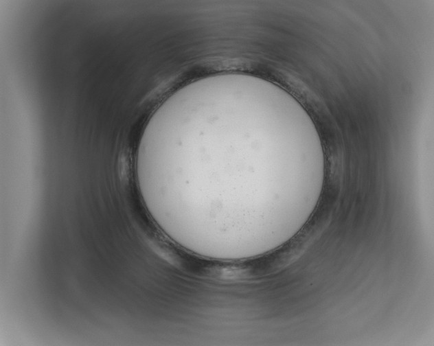X0000112460165200909141105