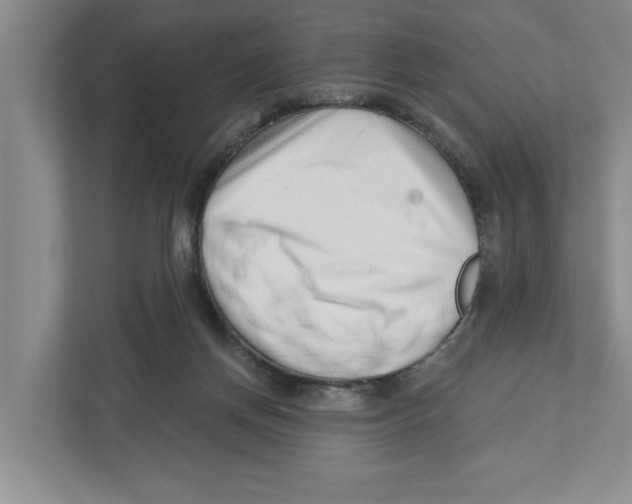 X0000112460166200909141105