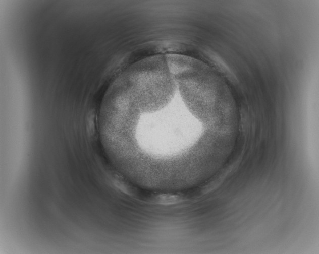 X0000112460169200909141105