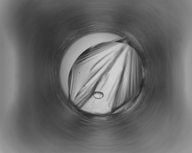 X0000112460170200909141105