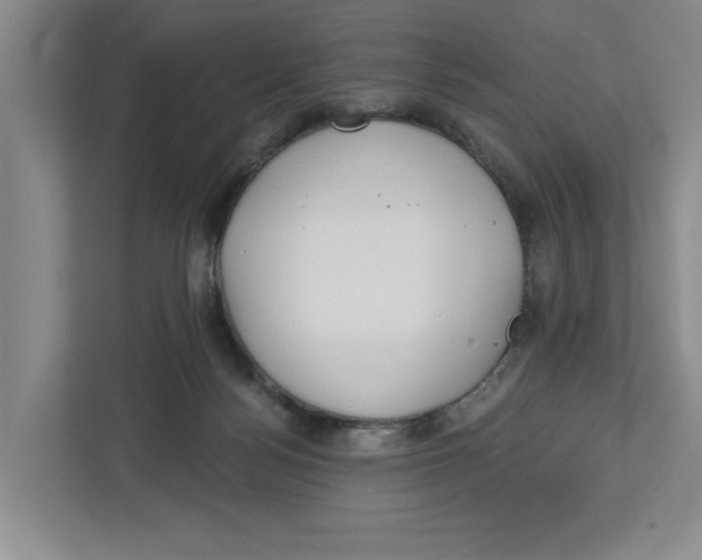 X0000112460172200909141105
