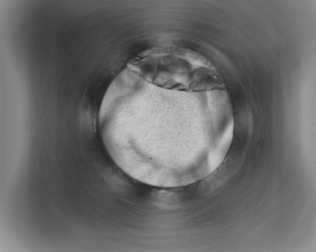 X0000112460180200909141105
