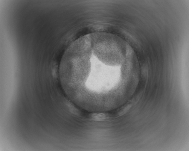 X0000112460181200909141105