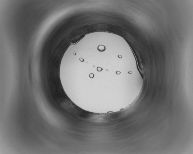 X0000112460190200909141106