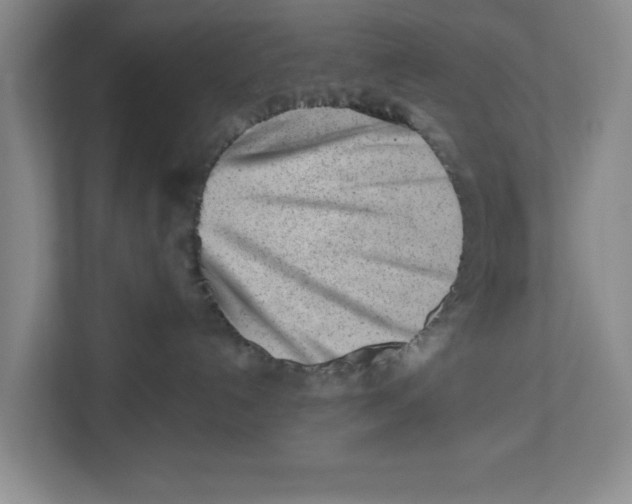 X0000112460192200909141106