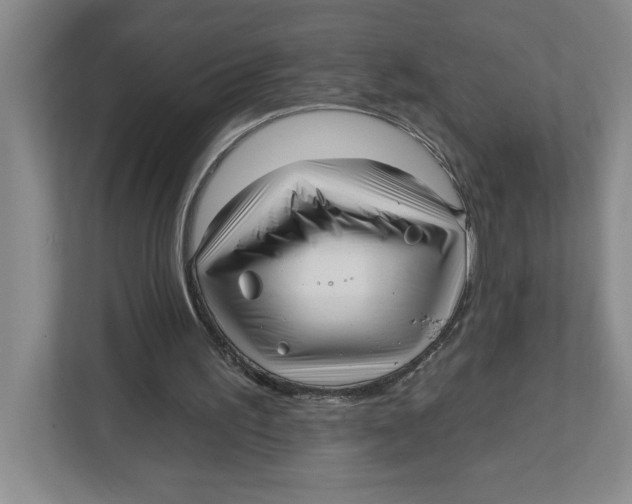 X0000112460195200909141105