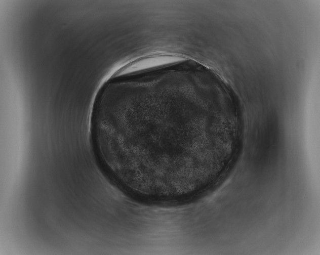 X0000112460196200909141105