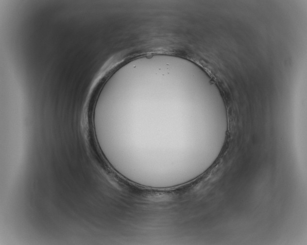 X0000112460198200909141105