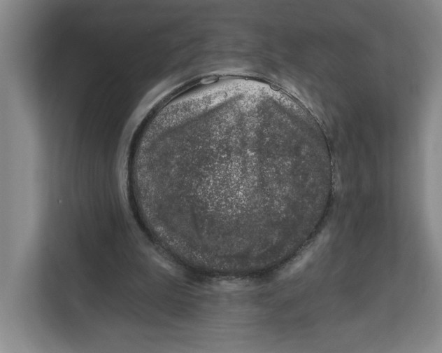 X0000112460199200909141105