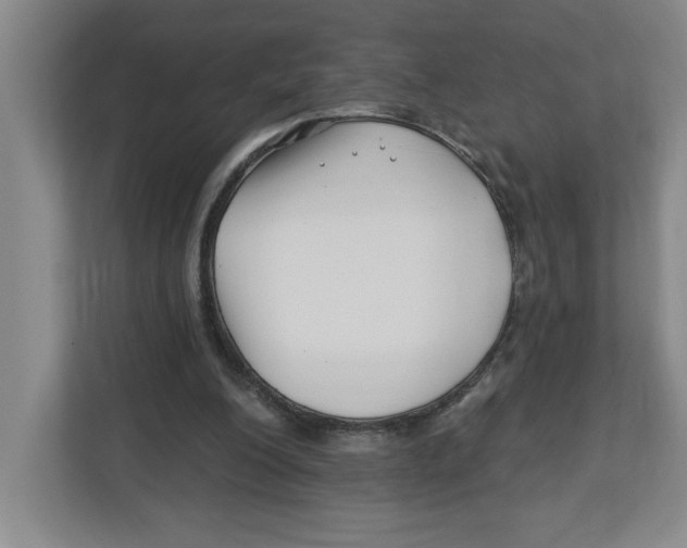 X0000112460200200909141105