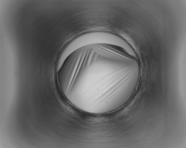 X0000112460201200909141105