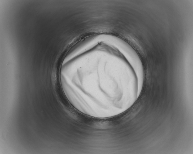 X0000112460202200909141105