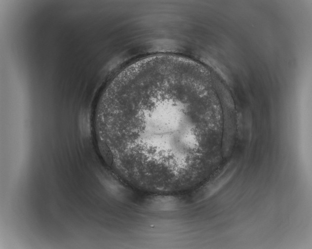 X0000112460203200909141105