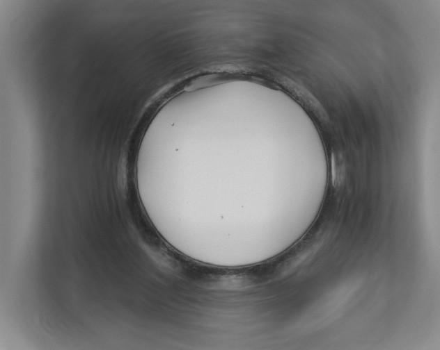 X0000112460204200909141105