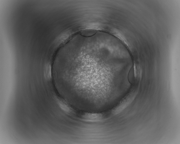 X0000112460205200909141105