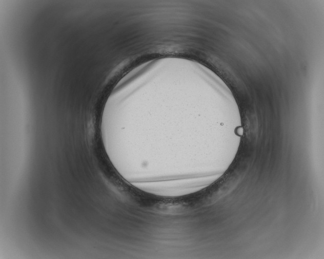 X0000112460208200909141105