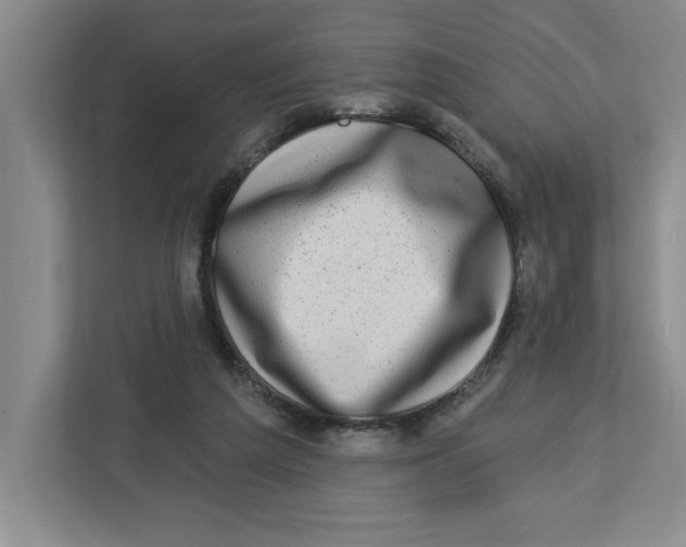 X0000112460209200909141105