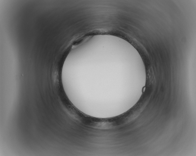 X0000112460212200909141105
