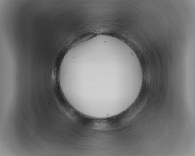 X0000112460214200909141105