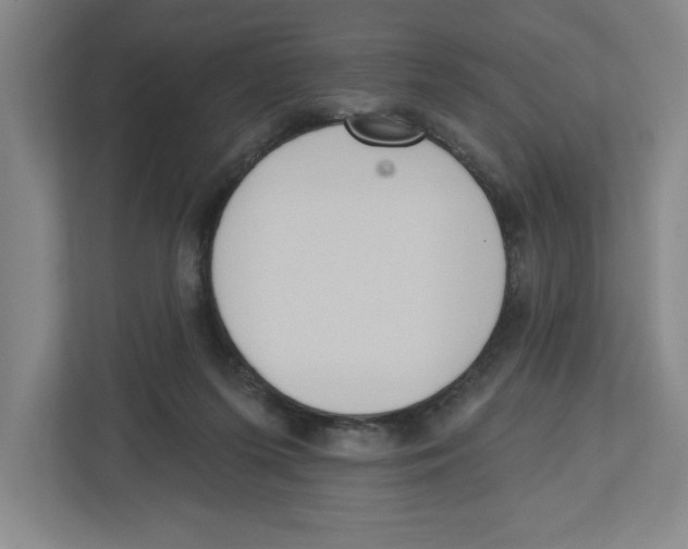 X0000112460215200909141105