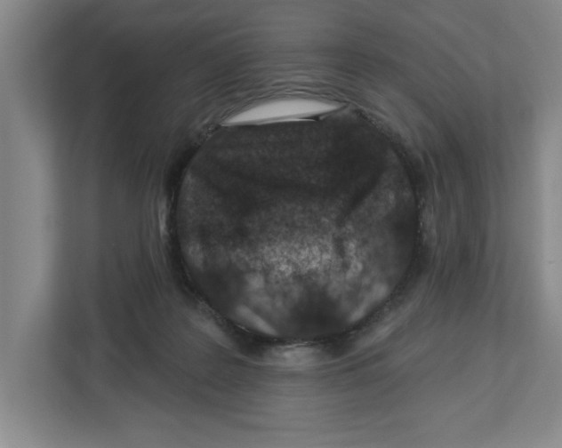 X0000112460219200909141105