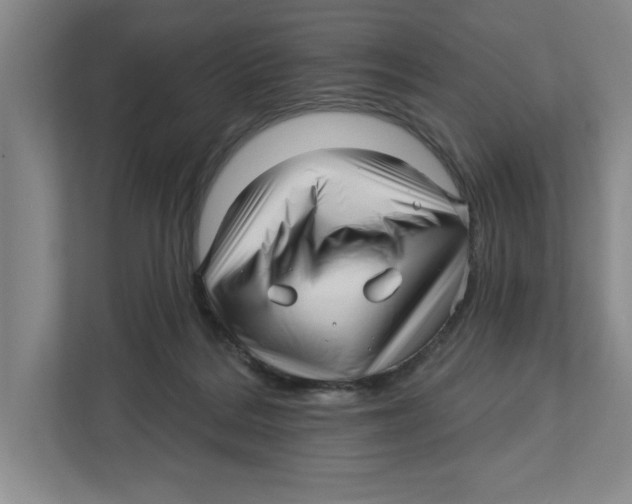 X0000112460220200909141105