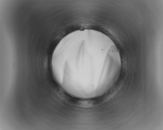 X0000112460221200909141105
