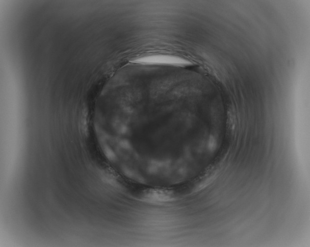 X0000112460223200909141105