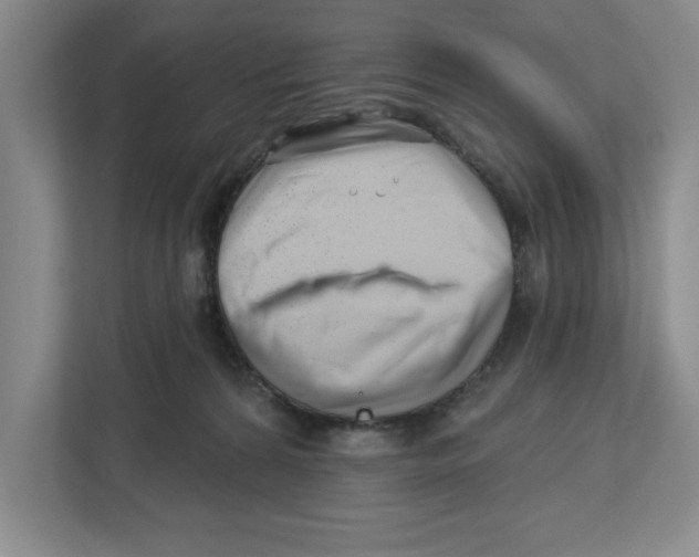 X0000112460224200909141105