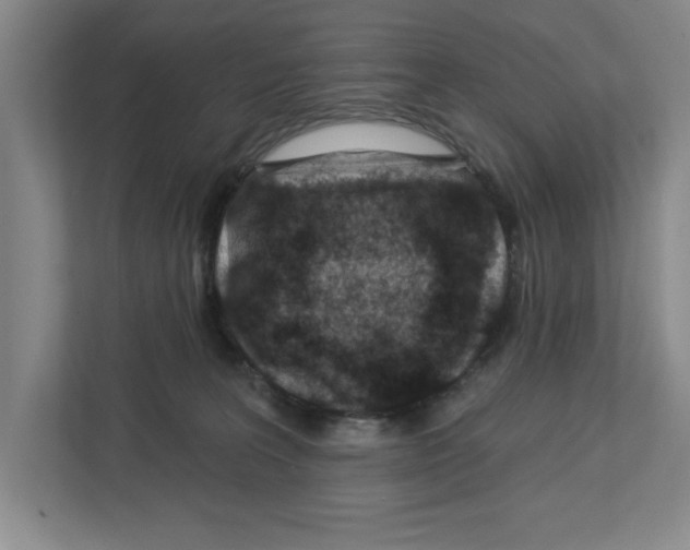 X0000112460227200909141105