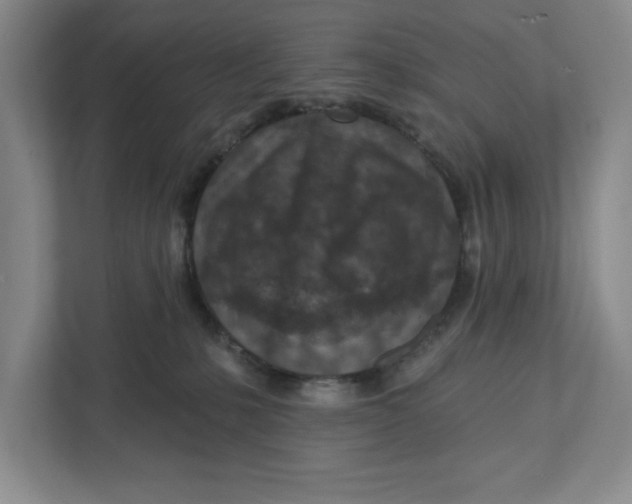 X0000112460231200909141104