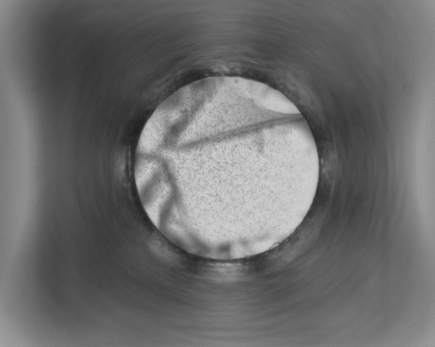 X0000112460233200909141104