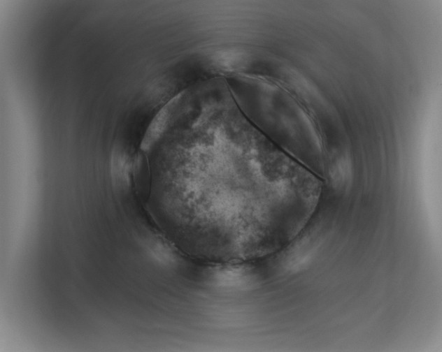 X0000112460235200909141104