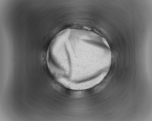 X0000112460237200909141104