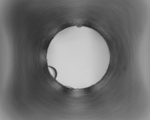 X0000112460240200909141104
