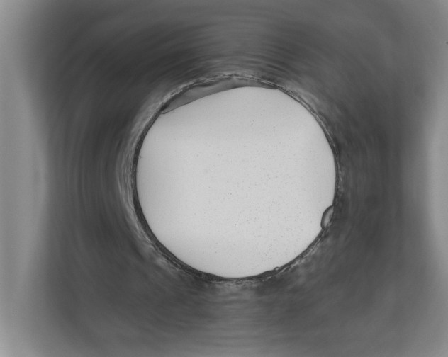 X0000112460241200909141104
