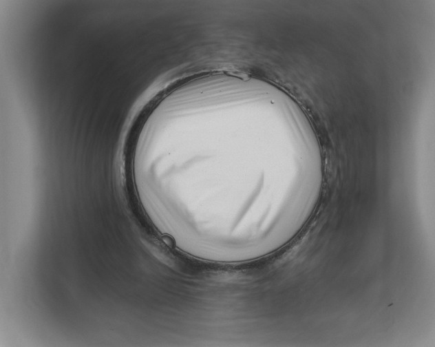 X0000112460246200909141104