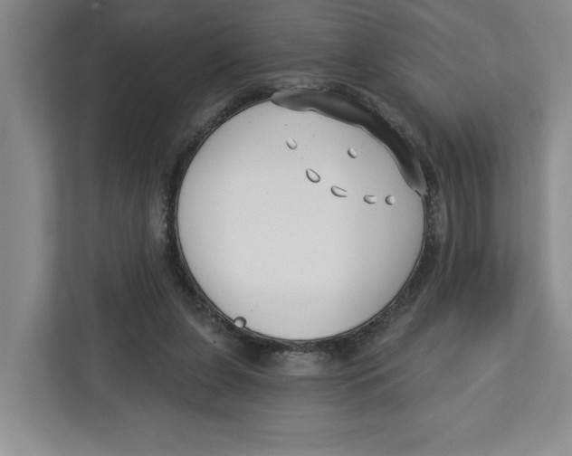 X0000112460255200909141104