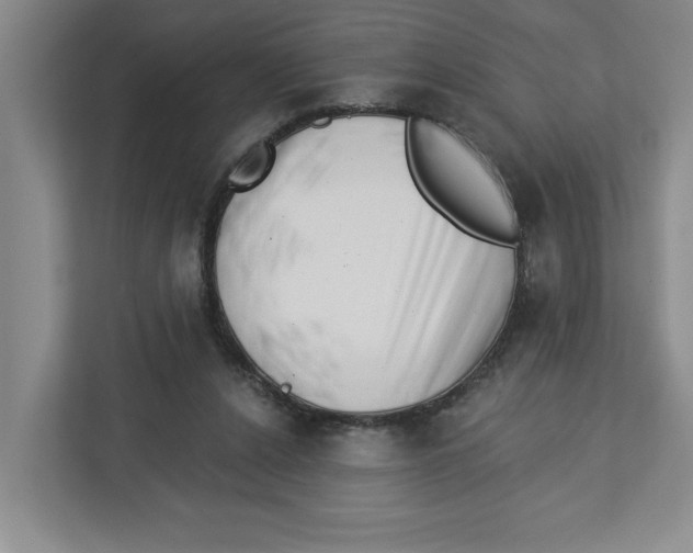 X0000112460256200909141104