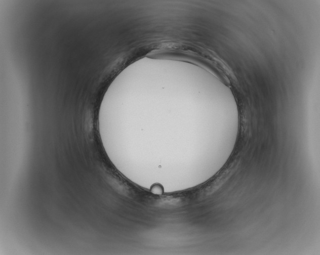 X0000112460257200909141104
