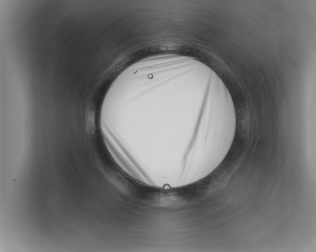 X0000112460262200909141104