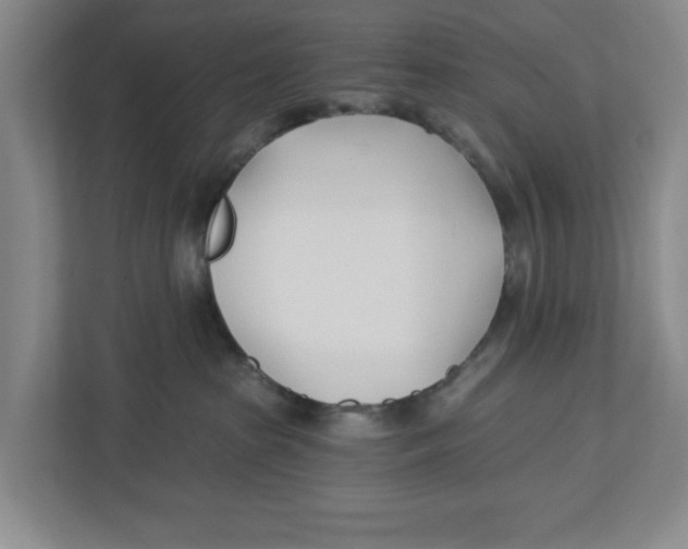 X0000112460285200909141104