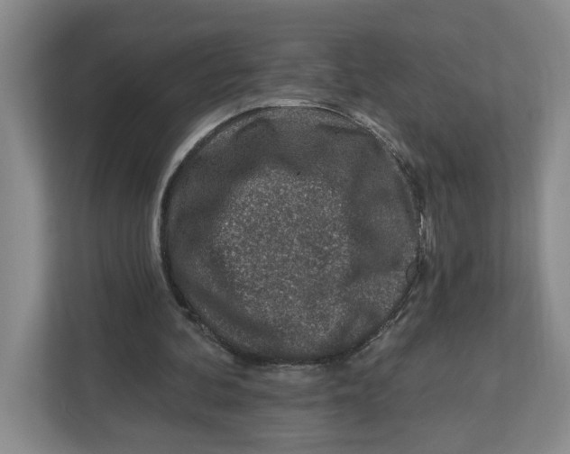 X0000112460292200909141104