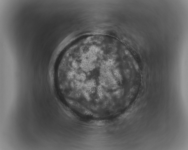 X0000112460295200909141104