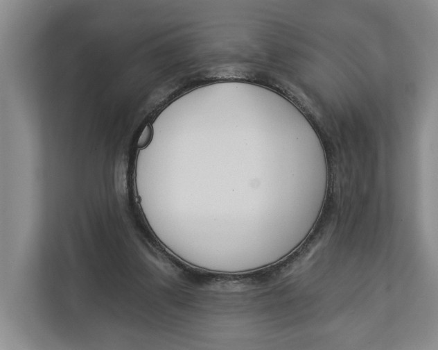 X0000112460299200909141104