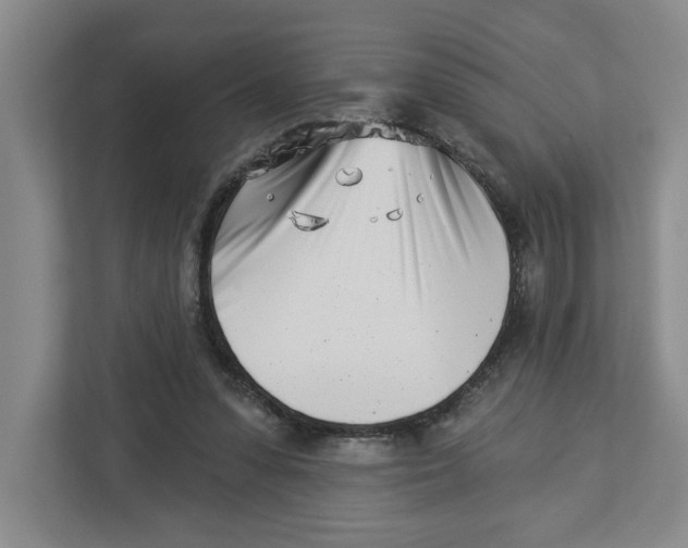 X0000112460303200909141104