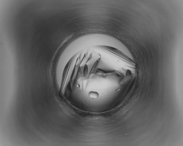 X0000112460304200909141104