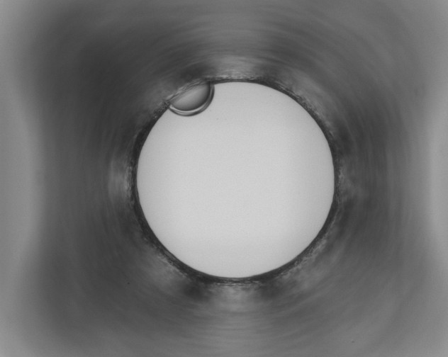 X0000112460305200909141104